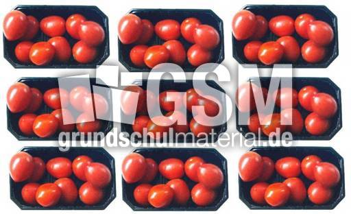 Tomaten-9x9.jpg